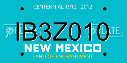 IB3Z010 New Mexico License Plate