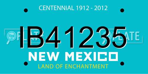 IB41235 New Mexico License Plate