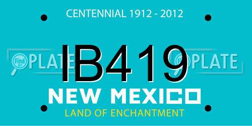 IB419 New Mexico License Plate