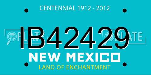 IB42429 New Mexico License Plate
