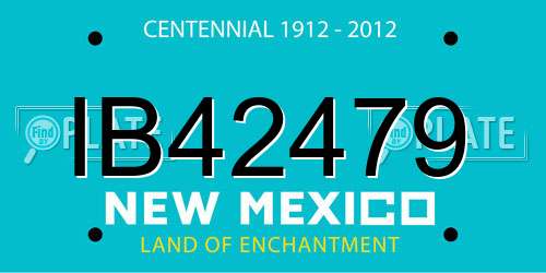 IB42479 New Mexico License Plate