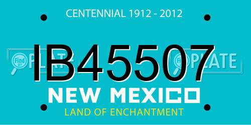 IB45507 New Mexico License Plate