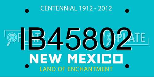 IB45802 New Mexico License Plate
