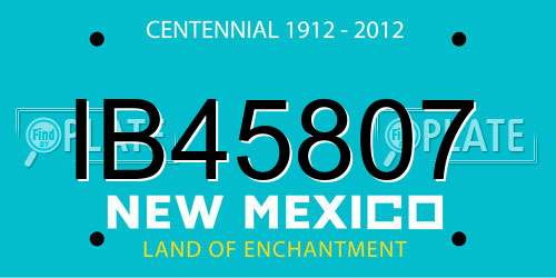 IB45807 New Mexico License Plate
