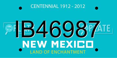 IB46987 New Mexico License Plate