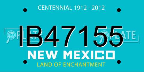 IB47155 New Mexico License Plate