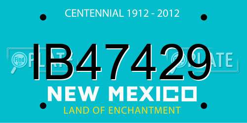 IB47429 New Mexico License Plate