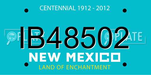 IB48502 New Mexico License Plate