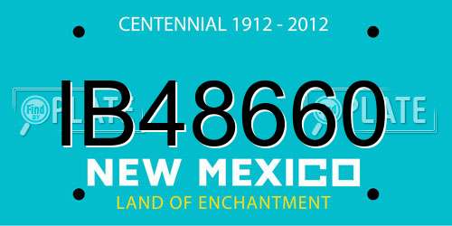IB48660 New Mexico License Plate