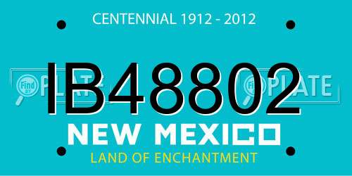 IB48802 New Mexico License Plate