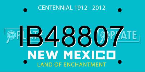 IB48807 New Mexico License Plate