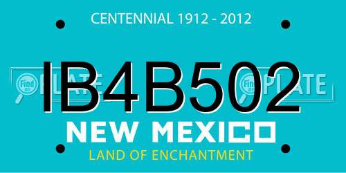 IB4B502 New Mexico License Plate