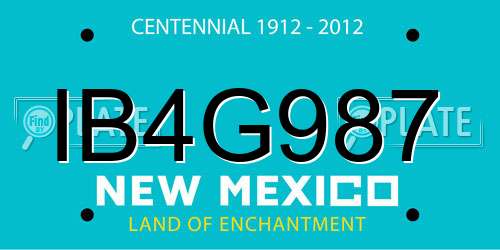 IB4G987 New Mexico License Plate