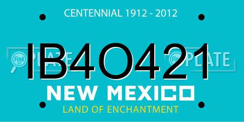 IB4O421 New Mexico License Plate