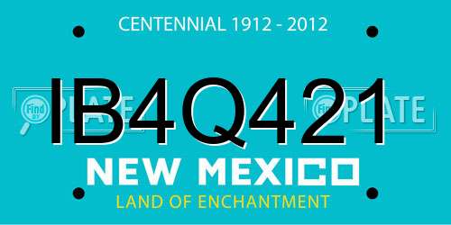 IB4Q421 New Mexico License Plate