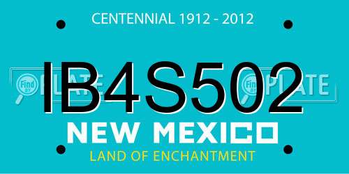 IB4S502 New Mexico License Plate