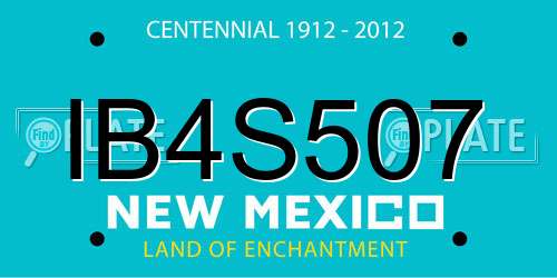 IB4S507 New Mexico License Plate