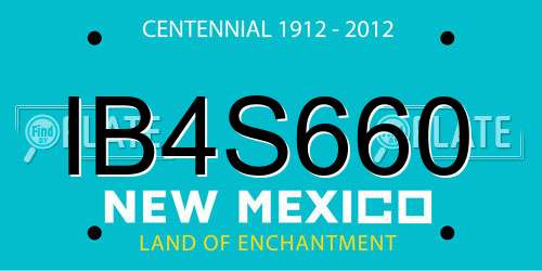 IB4S660 New Mexico License Plate