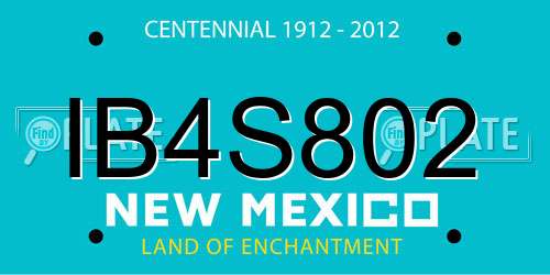 IB4S802 New Mexico License Plate