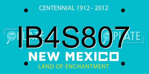 IB4S807 New Mexico License Plate