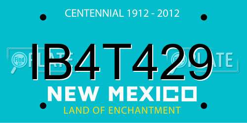 IB4T429 New Mexico License Plate
