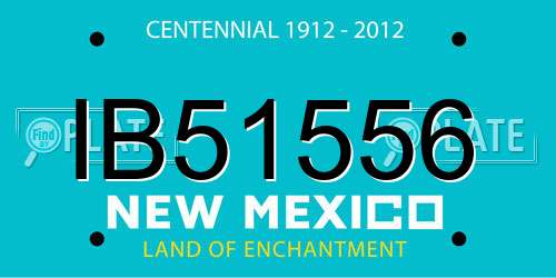 IB51556 New Mexico License Plate
