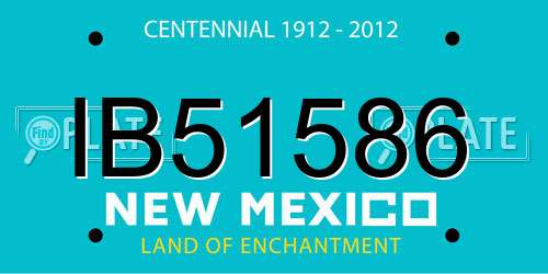 IB51586 New Mexico License Plate