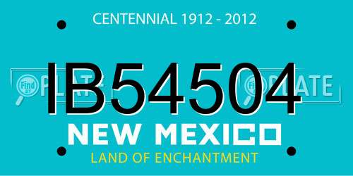 IB54504 New Mexico License Plate