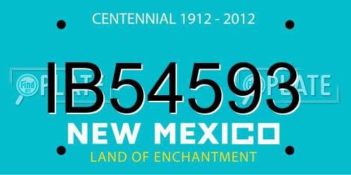 IB54593 New Mexico License Plate