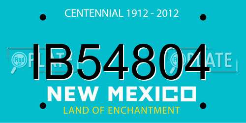IB54804 New Mexico License Plate