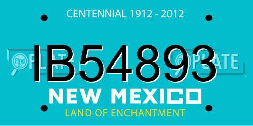IB54893 New Mexico License Plate