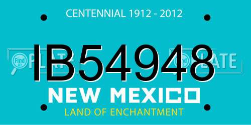 IB54948 New Mexico License Plate