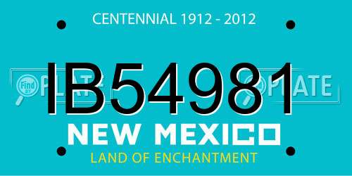 IB54981 New Mexico License Plate