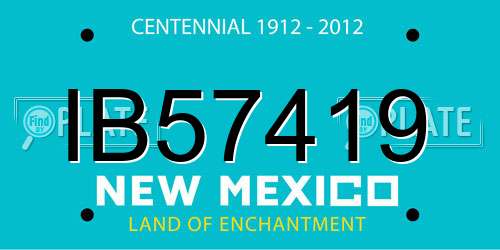 IB57419 New Mexico License Plate
