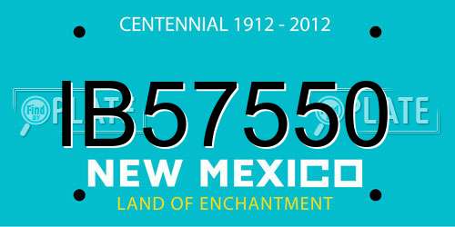 IB57550 New Mexico License Plate