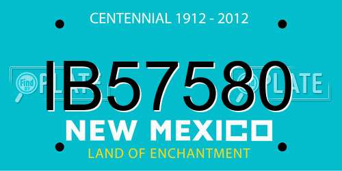 IB57580 New Mexico License Plate