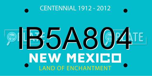 IB5A804 New Mexico License Plate