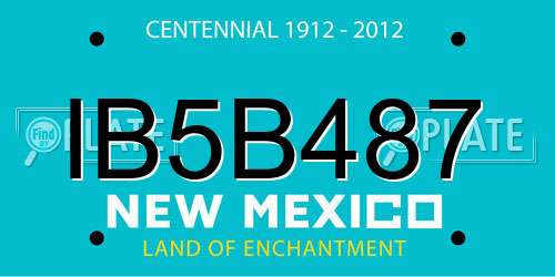 IB5B487 New Mexico License Plate