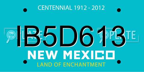 IB5D613 New Mexico License Plate