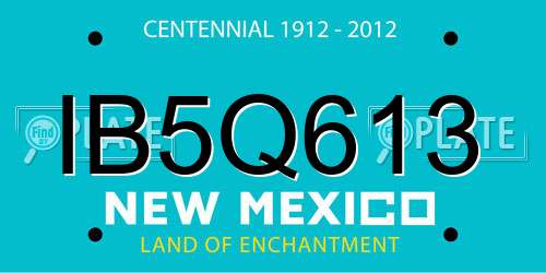 IB5Q613 New Mexico License Plate
