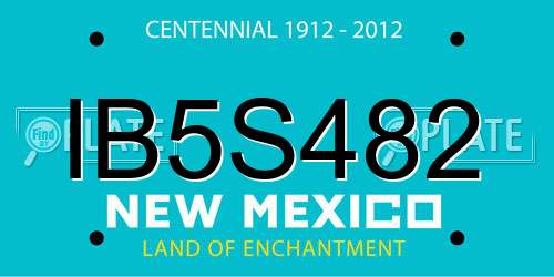 IB5S482 New Mexico License Plate