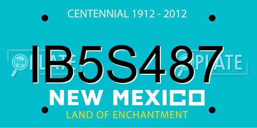 IB5S487 New Mexico License Plate