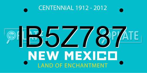 IB5Z787 New Mexico License Plate