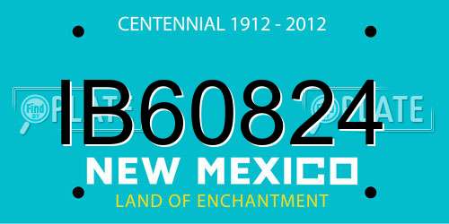 IB60824 New Mexico License Plate