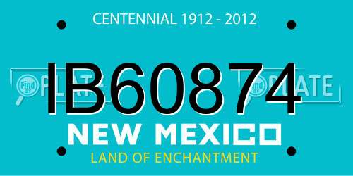 IB60874 New Mexico License Plate