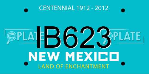 IB623 New Mexico License Plate
