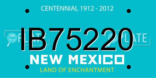 IB75220 New Mexico License Plate