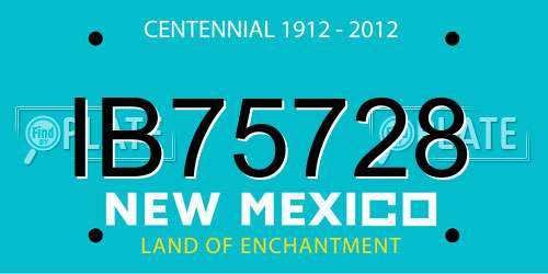 IB75728 New Mexico License Plate