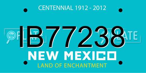 IB77238 New Mexico License Plate