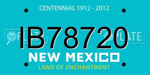 IB78720 New Mexico License Plate